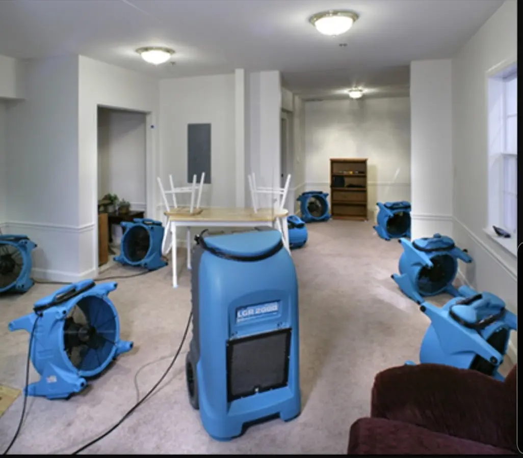 Air movers and dehumidifier setup for Water Extraction & Removal in Forestville