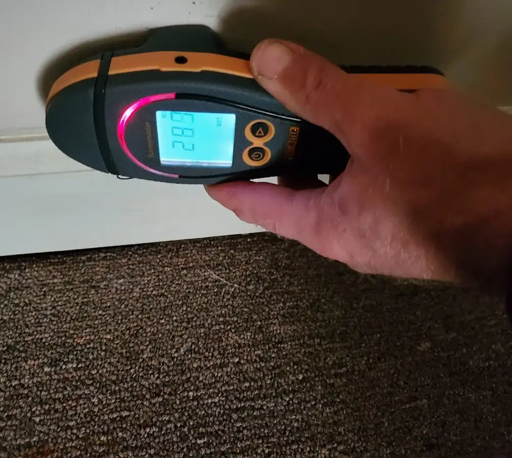 Moisture detection at baseboard during Sewage Cleanup & Sanitation in Forestville
